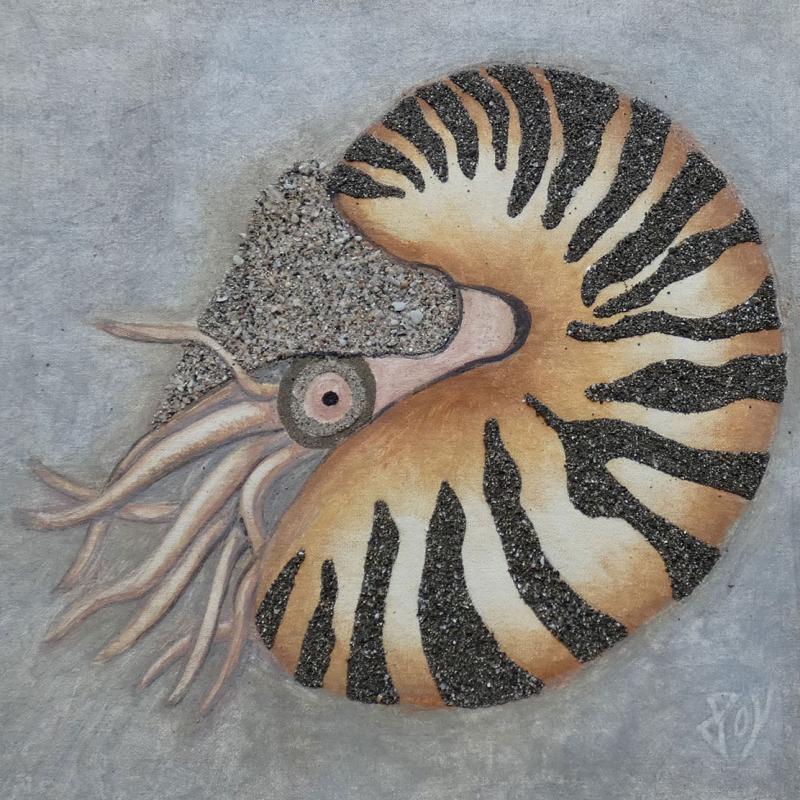 Nautilus nautilus
