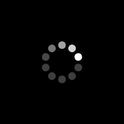 spin-loader